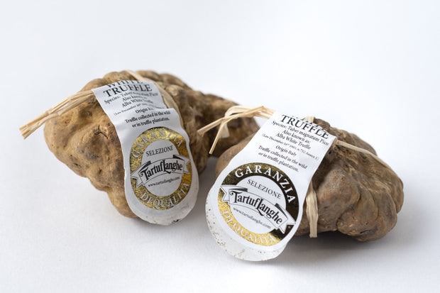 Alba White Truffle “TARTUFLANGHE” 100g